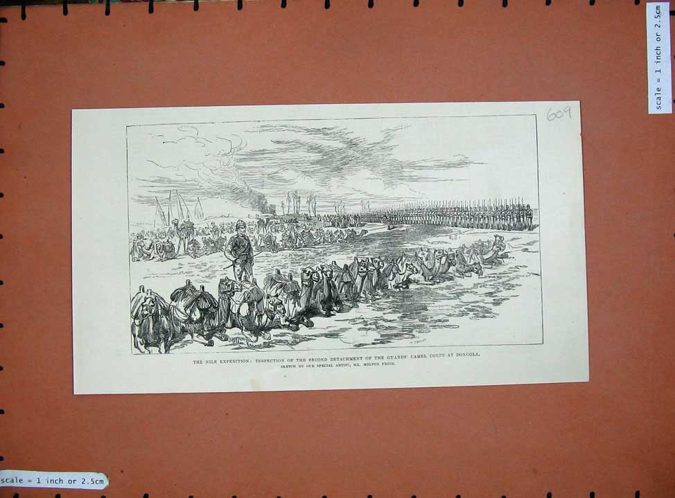 Original Old Antique Print 1885 Nile Expedition Army Guards Camel Corps Dongola