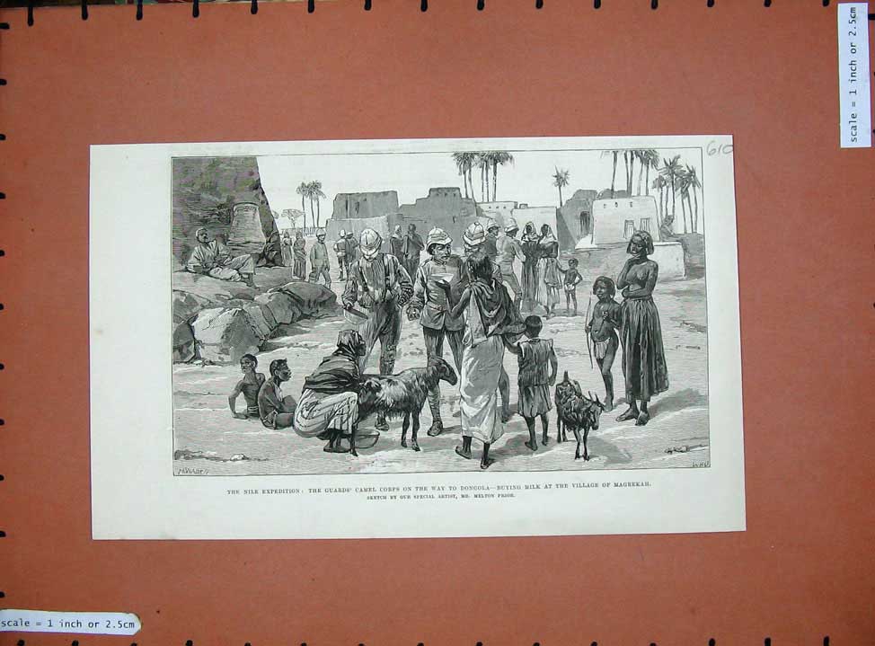 Old Antique Print War 1885 Nile Expedition Camel Corps Dongola Magrekah 19th