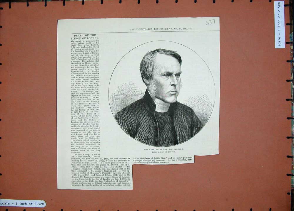 Original Old Antique Print 1885 Lord Bishop London Rev. Dr Jackson Man Portrait
