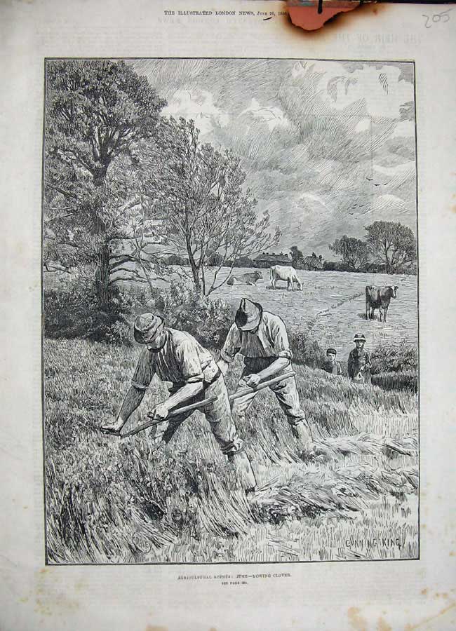 Original Old Antique Print 1886 Agricultural Mowing Clover Farming Fire Damaged