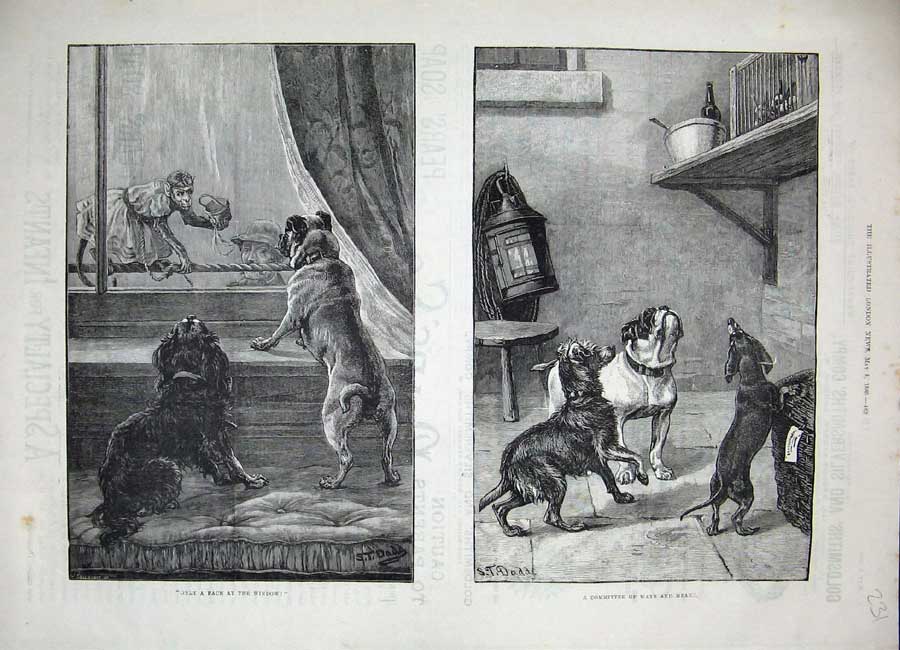 Original Old Antique Print 1886 Dadd Fine Art Puppy Dogs Monkey Window Man 19th