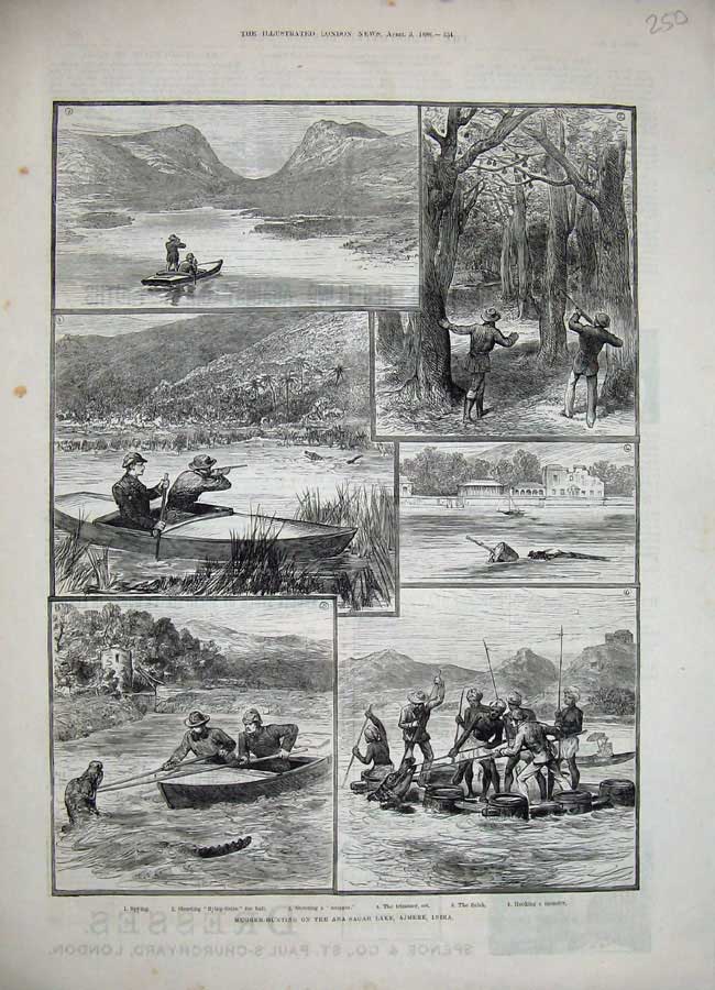 Old Antique Print 1886 Mugger Hunting Ana-Sagar Lake Ajmere India Sport 19th