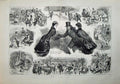 Antique Old Print 1886 Ice Skating Winter Canada Children People Fine Art 19th