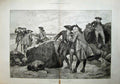 Original Old Antique Print 1886 Conchologists Siers Men Army SeaVictorian