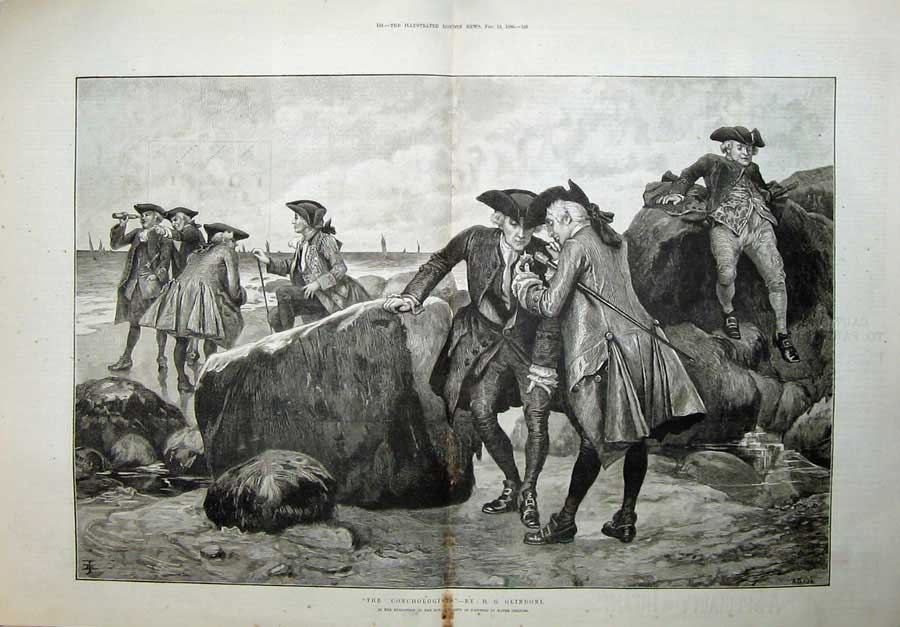 Original Old Antique Print 1886 Conchologists Siers Men Army SeaVictorian