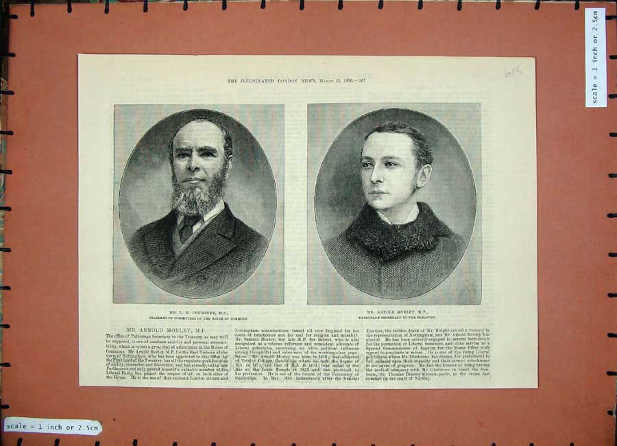 Original Old Antique Print 1886 Courtney House Commons ArnMorley Parliament