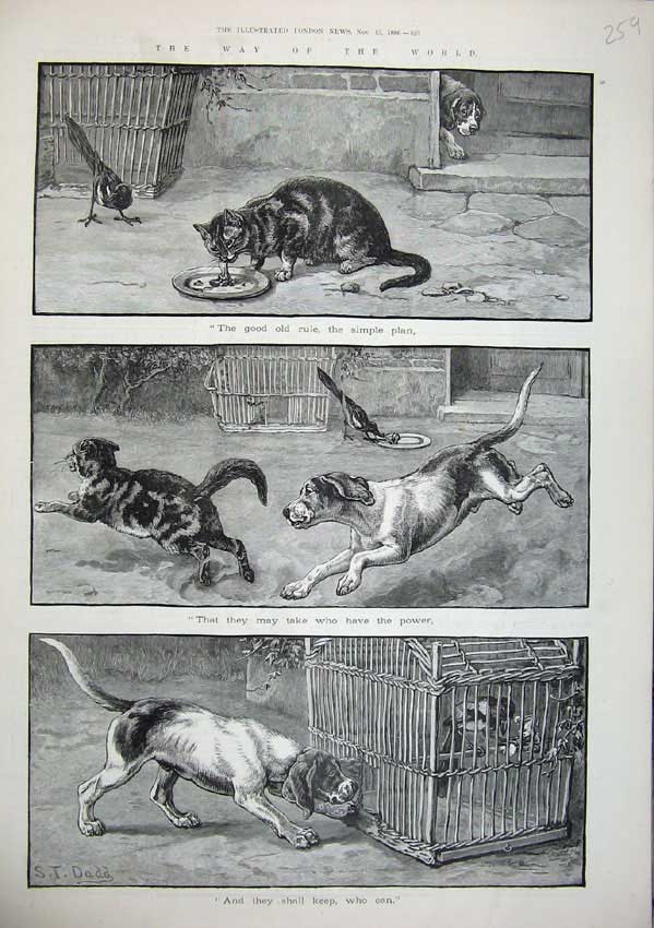 Original Old Antique Print 1886 Dadd Fine Art Puppy Dogs Cats Bird Cage Animals