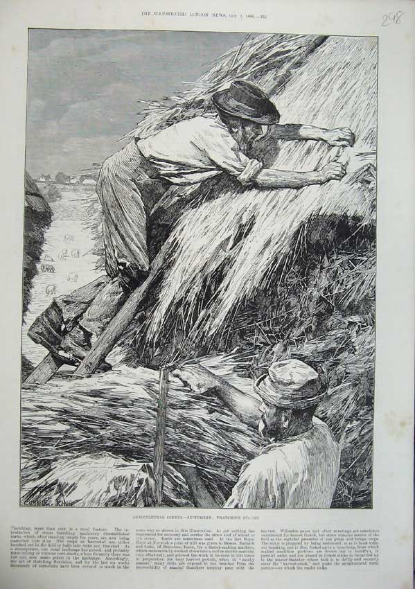 Original Old Antique Print 1886 Agricultural September Thatching Stacks Farming
