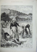 Original Old Antique Print 1886 Agricultural August Hay Reaping Binding Farming