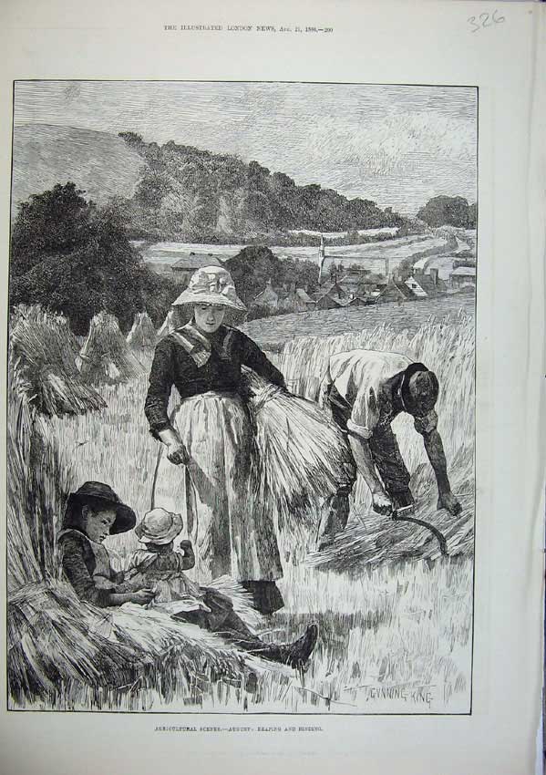 Original Old Antique Print 1886 Agricultural August Hay Reaping Binding Farming