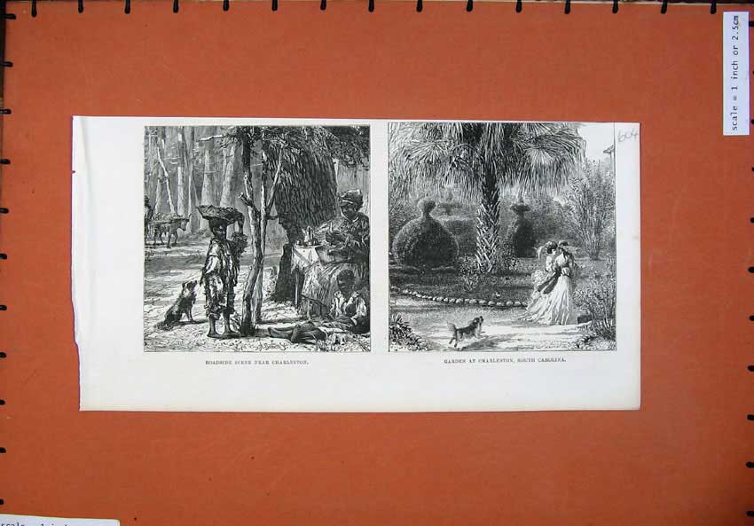 Old Antique Print 1886 People Charleston Garden South Carolina Fine Art 19th