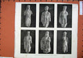Original Old Antique Print 1886 Ancient Archaic Statues Acropolis Athens 19th