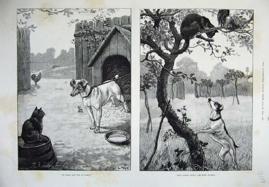 Old Antique Print 1887 Fine Art Animals Dogs Cats Tree Country Kennal Hen 19th