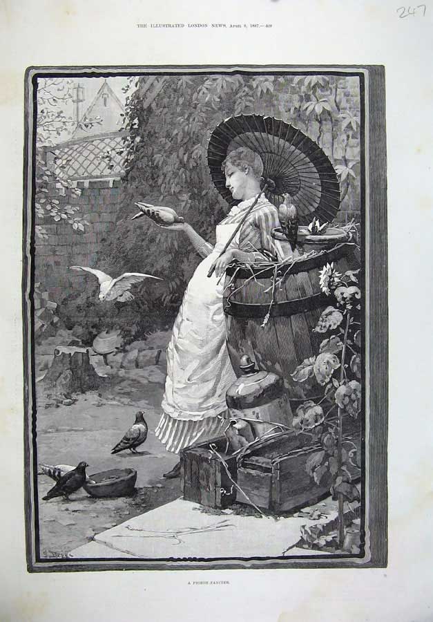 Old Antique Print 1887 Begg Fine Art Pigeon Fancier Woman Lady Birds Tree 19th