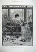 Old Antique Print 1887 Dadd Fine Art Lady Plants Greenhouse Dog Cat Smash 19th
