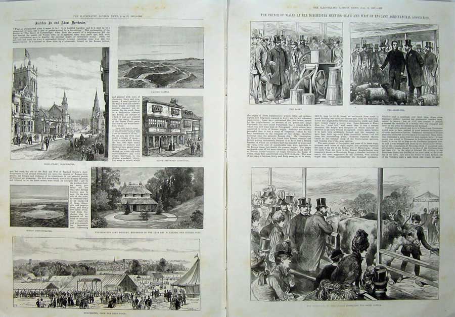 Original Old Antique Print 1887 Dorchester Roman Ampitheatre Show Cattle Sheep