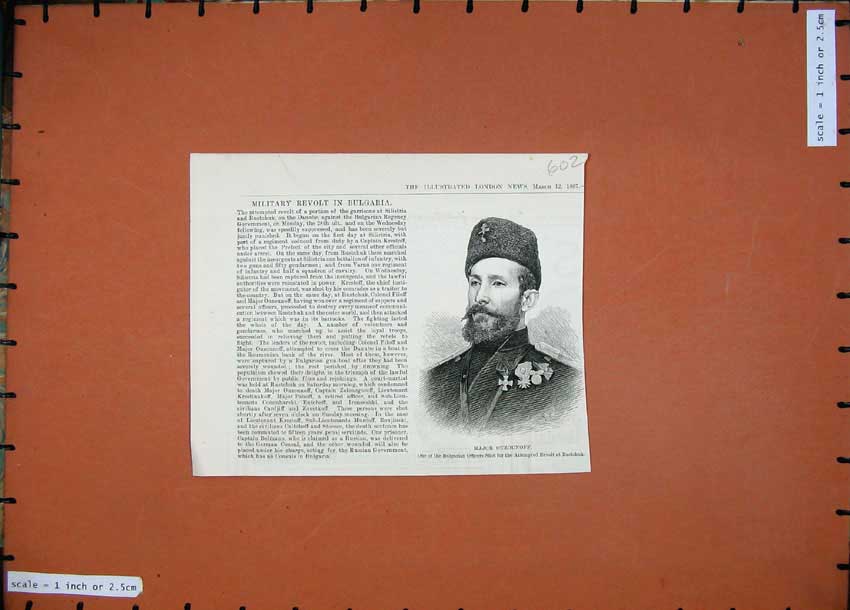 Original Old Antique Print 1887 Portrait Major Ouzounoff Bulgarian Officer War