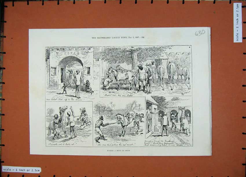 Original Old Antique Print 1887 Sketch Buying Pony India Horses People 19th