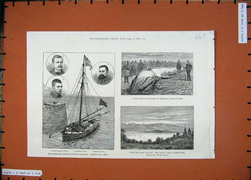Original Old Antique Print 1887 Dover Harbour Captain Nilson Enlay Lake Whale