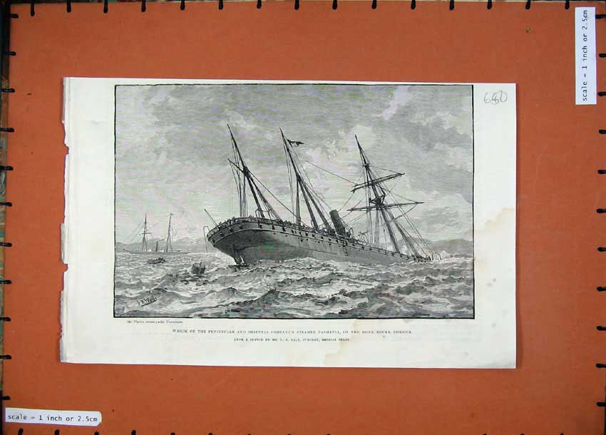 Antique Old Print *0238 1887 Ship Wreck Peninsular Steamer Tasmania Corsica