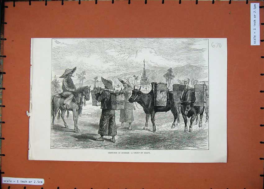 Old Antique Print 1887 Sketches Birmah Group Shans Cattle Horses Sketch 19th