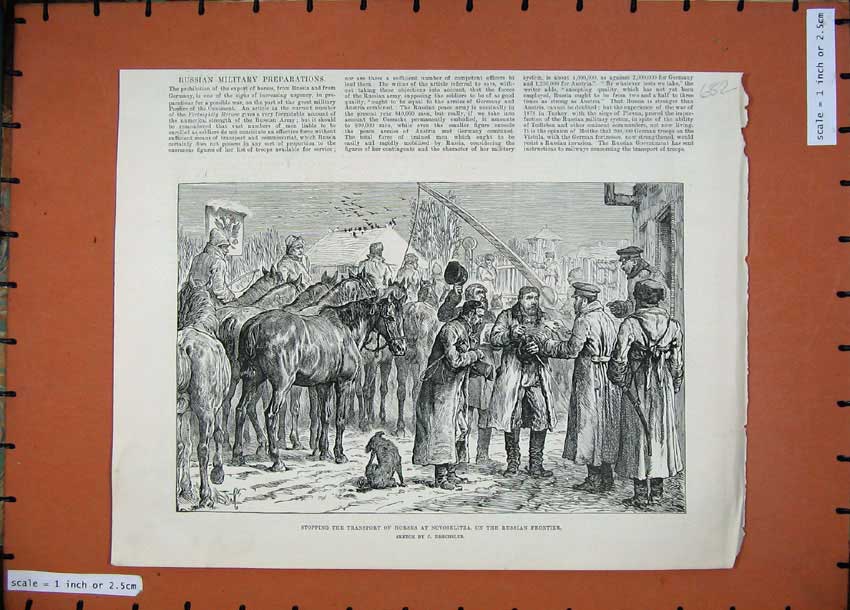 Old Antique Print 1887 Transport Horses Novoselitza Russian Frontier War 19th