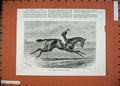 Original Old Antique Print 1887 Merry Hampton Winner Derby Horse Racing Sport