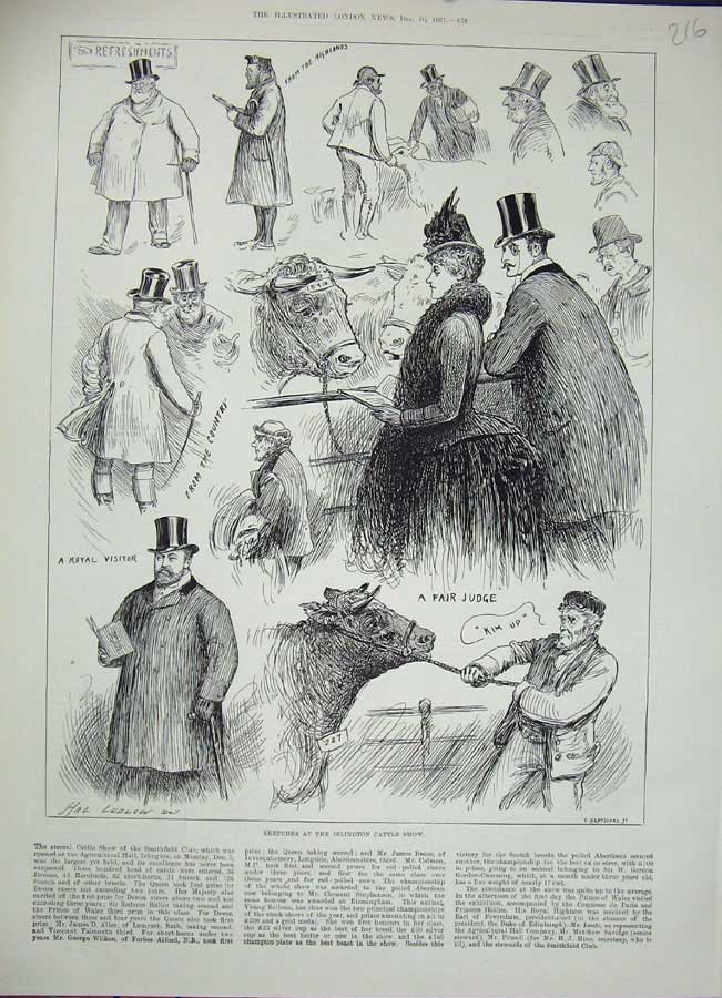 Original Old Antique Print 1887 Islington Cattle Show Judge Cattle Cow Animals