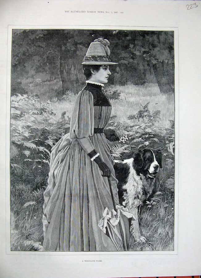 Original Old Antique Print 1887 Woodland Walk Lady St Bernard Dog Country Art