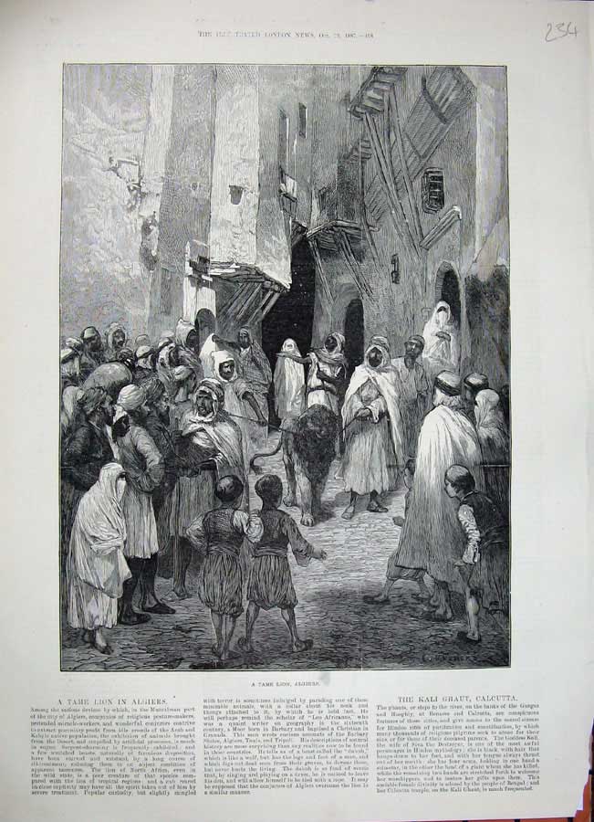 Original Old Antique Print 1887 Tame Lion Algiers Mussulman Streets People Art