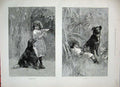 Old Antique Print 1887 Little Girl Puppy Dog Flowers Garden Pet Animals 19th