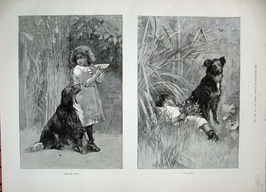 Old Antique Print 1887 Little Girl Puppy Dog Flowers Garden Pet Animals 19th