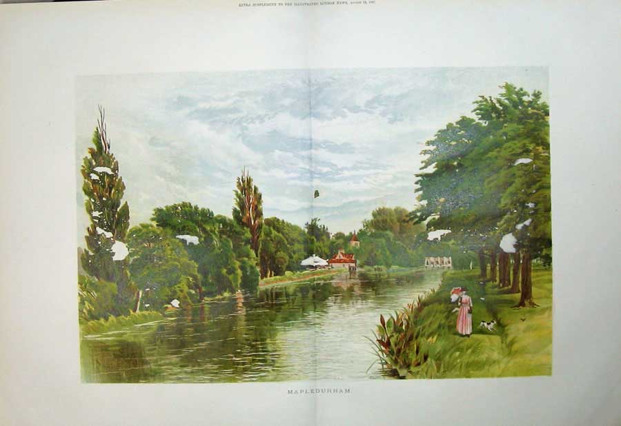 Original Old Antique Print 1887 Damaged Colour View Mapledurham River Trees