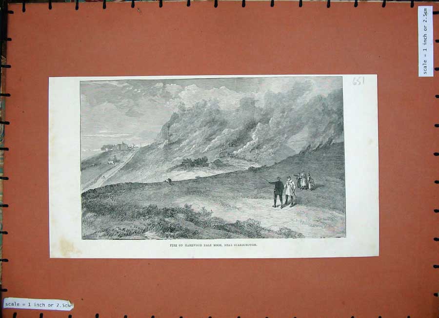Original Old Antique Print 1887 Fire Harewood Dale Moor Scarborough Hills Men