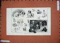 Original Old Antique Print 1887 Toy Dog Show Westminster Aquarium Pets Animals