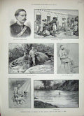 Original Old Antique Print 1888 Elephant Hunting Berbera Africa Gulf Aden Sport