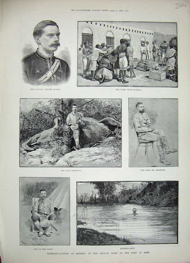 Original Old Antique Print 1888 Elephant Hunting Berbera Africa Gulf Aden Sport