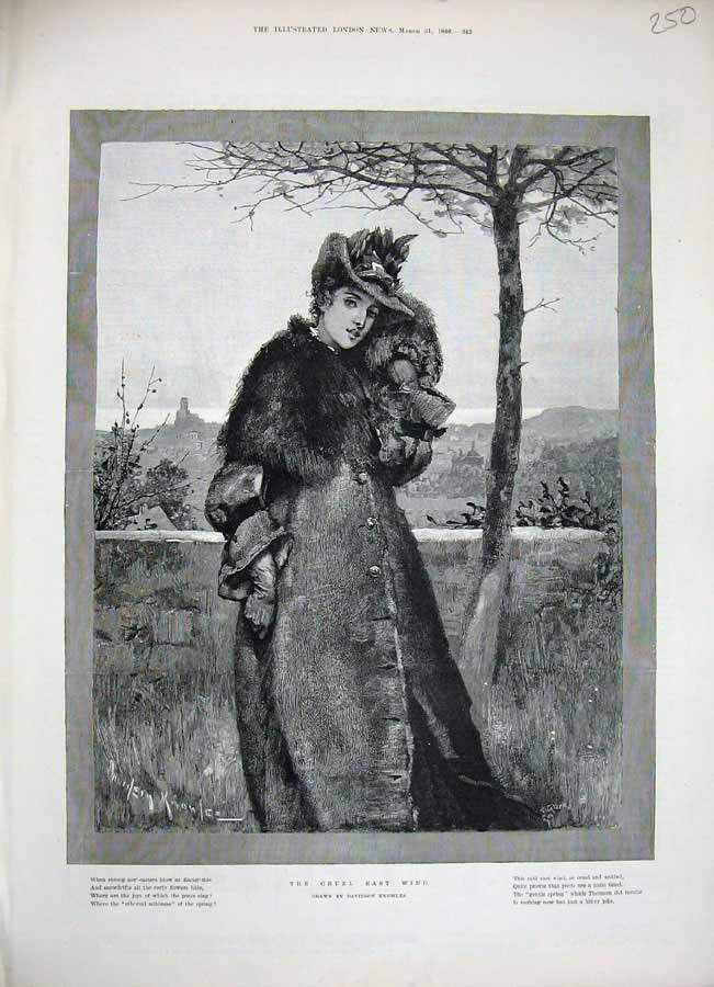 Original Old Antique Print 1888 Knowles Fine Art Lady Woman Winter Fur Weather