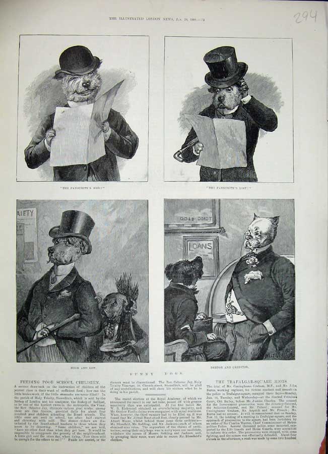 Original Old Antique Print 1888 Comedy Dogs Costumes Funny 19th