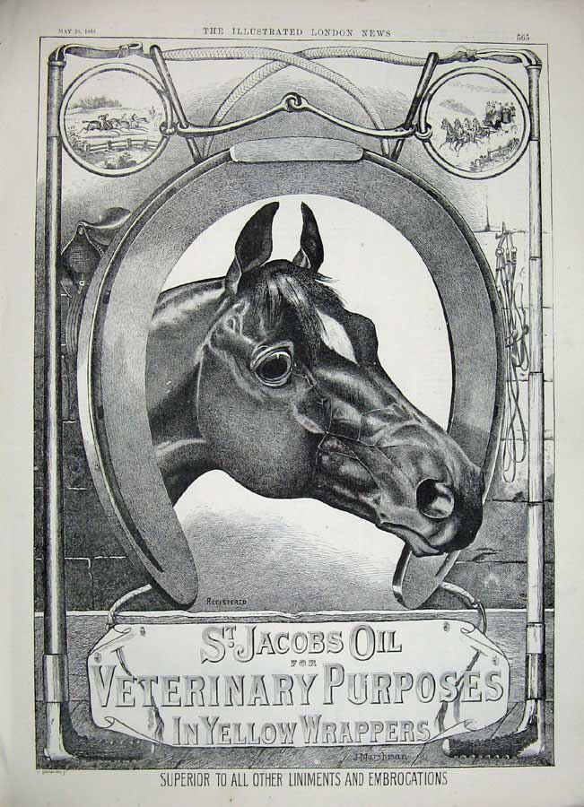 Old Antique Print 1888 Scotland Sport Campbell Albert Gate Jacobs Horse 19th