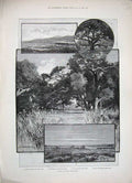 Antique Old Print 1888 California America Monarch Canon Bear Hunting Seal 19th