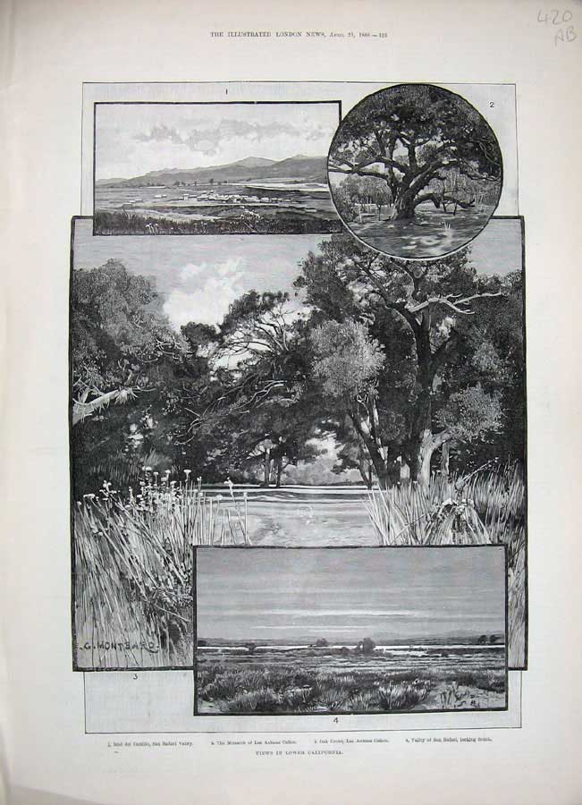 Antique Old Print 1888 California America Monarch Canon Bear Hunting Seal 19th