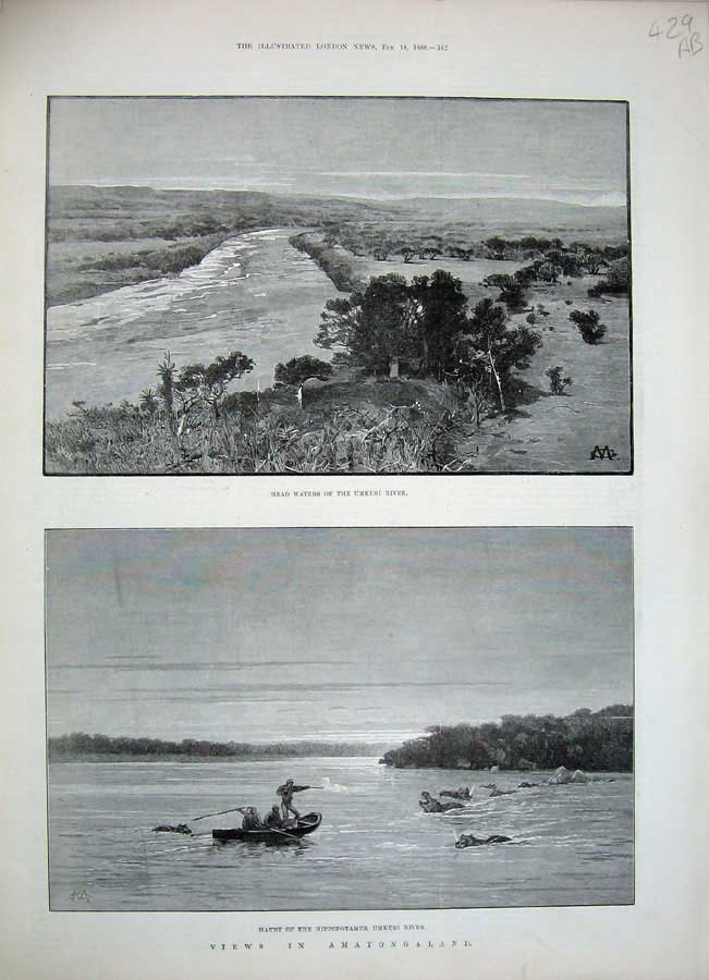Original Old Antique Print 1888 Amatongaland Umkusi River Africa Hippopotamus