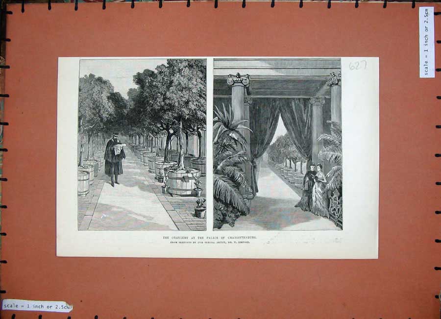Original Old Antique Print 1888 Orangery Palace Charlottenburg Trees Simpson