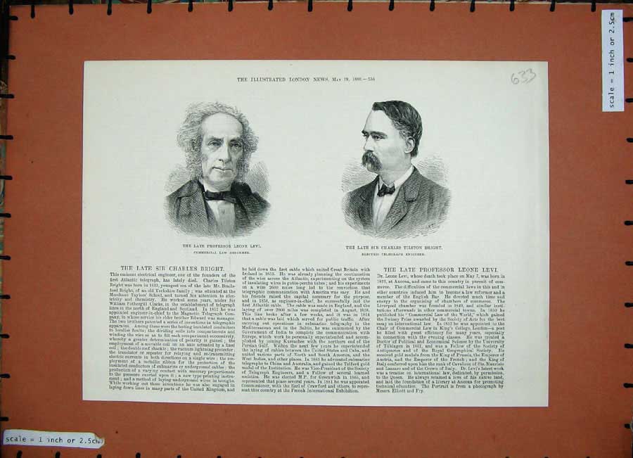 Original Old Antique Print 1888 Professor Leone Levi Law Charles Tilston Bright