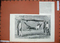 Original Old Antique Print 1888 Travelling Sierra Leone Man Carried Hammock Art