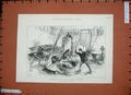 Original Old Antique Print 1888 Wild Wolves London Sanger'S Amphitheatre Men