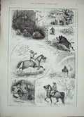Original Old Antique Print 1888 Hunting Morocco Hedgehog Horses Birds Pigs 19th