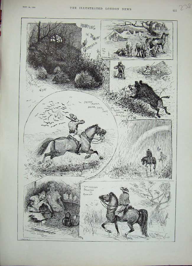 Original Old Antique Print 1888 Hunting Morocco Hedgehog Horses Birds Pigs 19th
