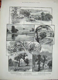 Old Antique Print 1888 Hampstead Heath Park Estate Parliament Fields Tree 19th